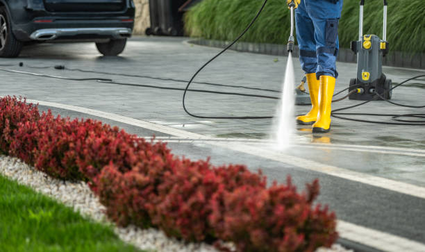 Best Residential Pressure Washing Services  in Olyphant, PA