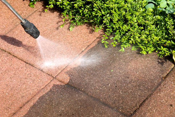 Trusted Olyphant, PA Pressure Washing Experts